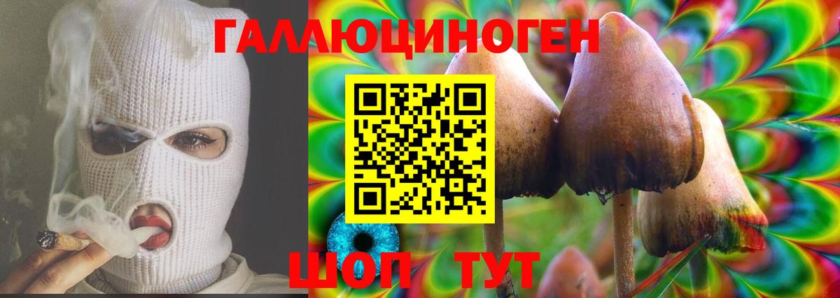 Галлюциногенные грибы MAGIC MUSHROOMS  Галлюциногенные грибы MAGIC MUSHROOMS  Новокубанск  Вход с VPN 